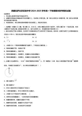 西藏拉萨北京实验中学2024-2025学年高一下物理期末联考模拟试题含解析