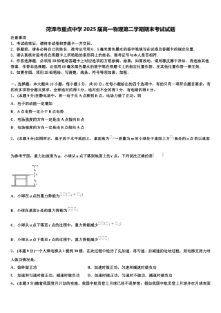 菏泽市重点中学2025届高一物理第二学期期末考试试题含解析