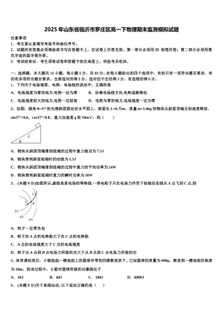2025年山东省临沂市罗庄区高一下物理期末监测模拟试题含解析