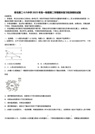 青岛第二十六中学2025年高一物理第二学期期末复习检测模拟试题含解析