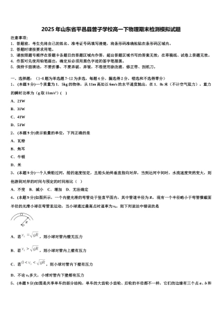 2025年山东省平邑县曾子学校高一下物理期末检测模拟试题含解析