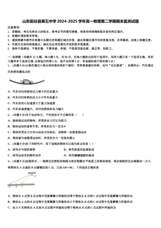 山东阳谷县第五中学2024-2025学年高一物理第二学期期末监测试题含解析