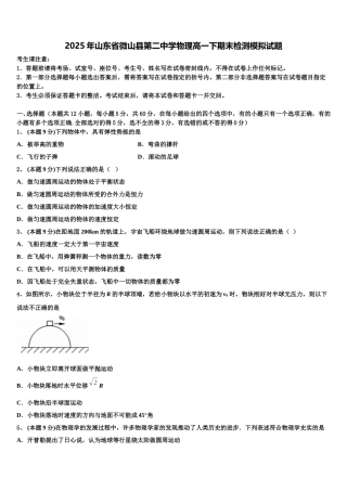 2025年山东省微山县第二中学物理高一下期末检测模拟试题含解析