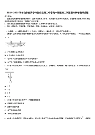 2024-2025学年山东省济宁市微山县第二中学高一物理第二学期期末联考模拟试题含解析