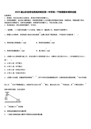 2025届山东省青岛西海岸新区第一中学高一下物理期末调研试题含解析