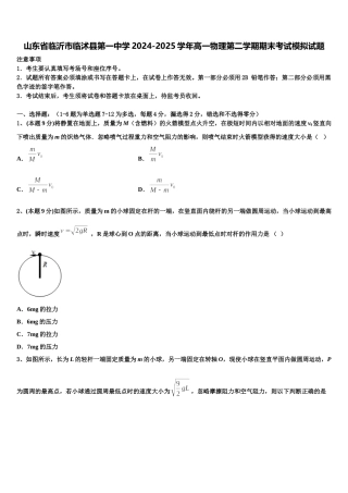 山东省临沂市临沭县第一中学2024-2025学年高一物理第二学期期末考试模拟试题含解析