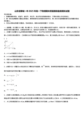 山东省聊城一中2025年高一下物理期末质量跟踪监视模拟试题含解析