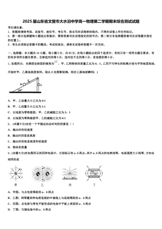 2025届山东省文登市大水泊中学高一物理第二学期期末综合测试试题含解析