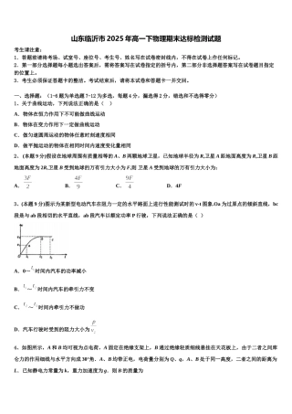 山东临沂市2025年高一下物理期末达标检测试题含解析