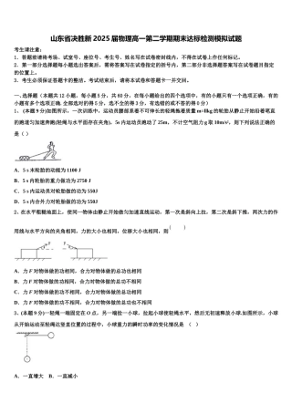 山东省决胜新2025届物理高一第二学期期末达标检测模拟试题含解析