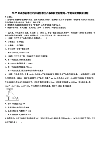 2025年山东省枣庄市薛城区枣庄八中东校区物理高一下期末统考模拟试题含解析