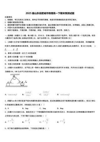 2025届山东省肥城市物理高一下期末预测试题含解析