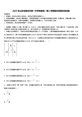 2025年山东省泰安市第一中学物理高一第二学期期末质量检测试题含解析