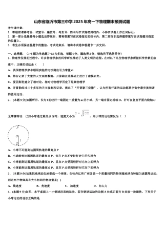 山东省临沂市第三中学2025年高一下物理期末预测试题含解析