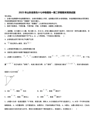 2025年山东省青岛十七中物理高一第二学期期末预测试题含解析