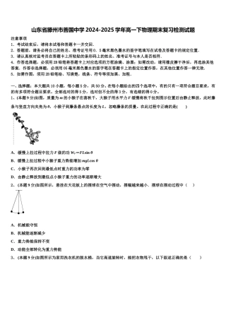 山东省滕州市善国中学2024-2025学年高一下物理期末复习检测试题含解析