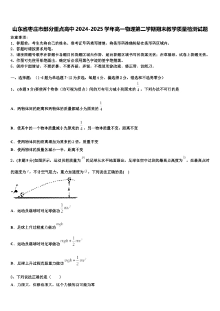山东省枣庄市部分重点高中2024-2025学年高一物理第二学期期末教学质量检测试题含解析