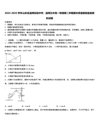 2024-2025学年山东省淄博实验中学、淄博五中高一物理第二学期期末质量跟踪监视模拟试题含解析