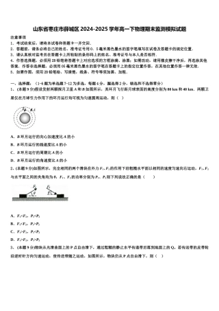 山东省枣庄市薛城区2024-2025学年高一下物理期末监测模拟试题含解析
