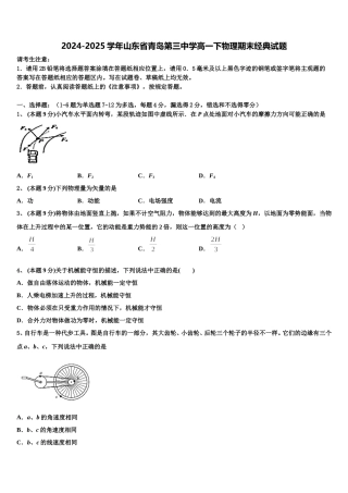 2024-2025学年山东省青岛第三中学高一下物理期末经典试题含解析
