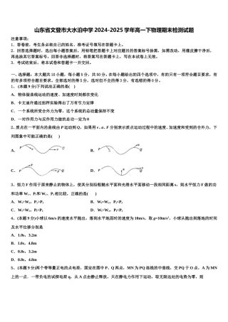 山东省文登市大水泊中学2024-2025学年高一下物理期末检测试题含解析