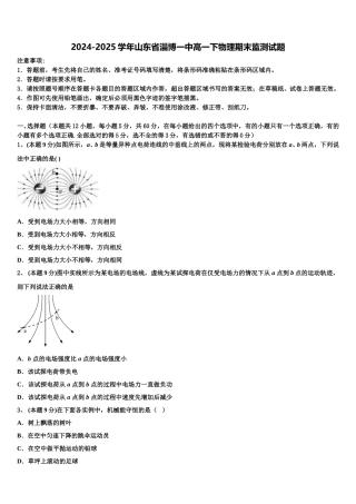 2024-2025学年山东省淄博一中高一下物理期末监测试题含解析