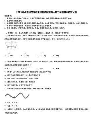 2025年山东省菏泽市重点名校物理高一第二学期期末检测试题含解析