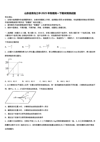 山东省青岛三中2025年物理高一下期末预测试题含解析