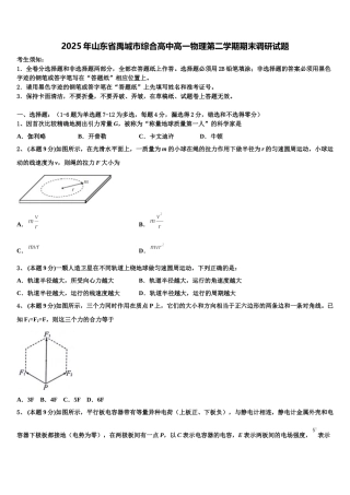 2025年山东省禹城市综合高中高一物理第二学期期末调研试题含解析