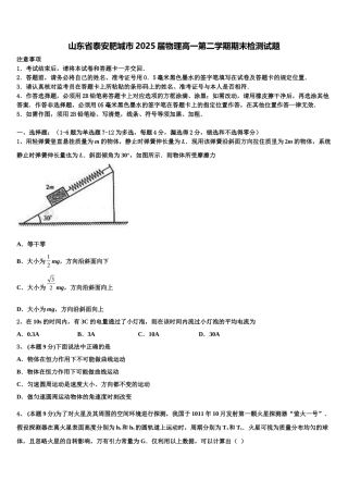 山东省泰安肥城市2025届物理高一第二学期期末检测试题含解析