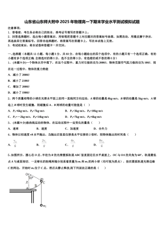 山东省山东师大附中2025年物理高一下期末学业水平测试模拟试题含解析