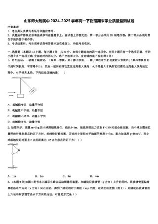 山东师大附属中2024-2025学年高一下物理期末学业质量监测试题含解析