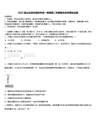 2025届山东省校级联考高一物理第二学期期末统考模拟试题含解析