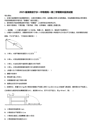 2025届湖南省宁乡一中物理高一第二学期期末监测试题含解析