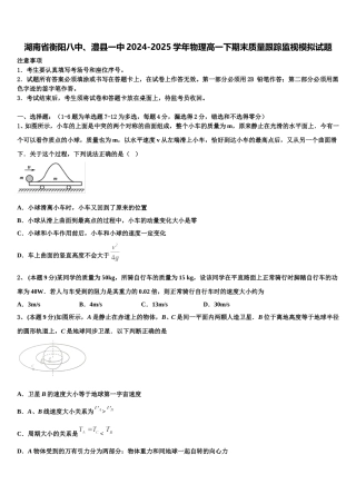 湖南省衡阳八中、澧县一中2024-2025学年物理高一下期末质量跟踪监视模拟试题含解析