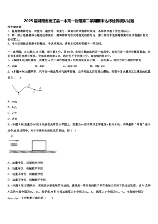 2025届湖南省桃江县一中高一物理第二学期期末达标检测模拟试题含解析