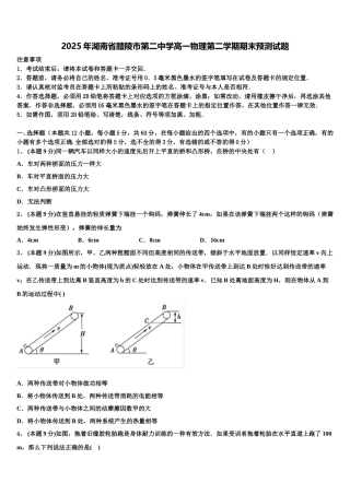 2025年湖南省醴陵市第二中学高一物理第二学期期末预测试题含解析