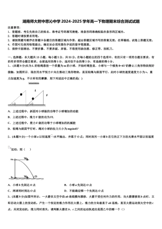 湖南师大附中思沁中学2024-2025学年高一下物理期末综合测试试题含解析