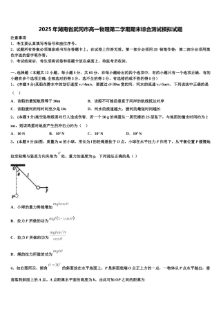 2025年湖南省武冈市高一物理第二学期期末综合测试模拟试题含解析