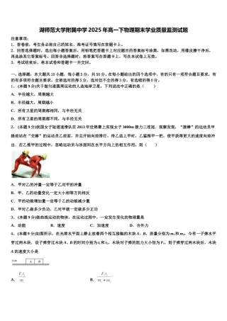 湖师范大学附属中学2025年高一下物理期末学业质量监测试题含解析