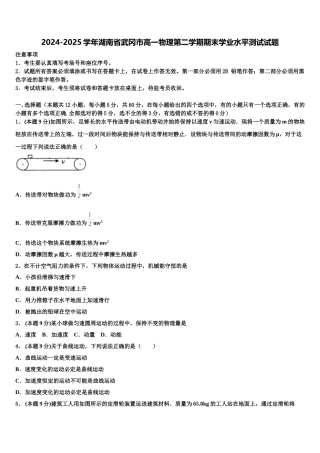2024-2025学年湖南省武冈市高一物理第二学期期末学业水平测试试题含解析