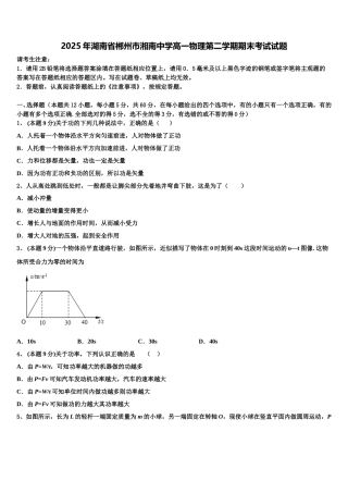 2025年湖南省郴州市湘南中学高一物理第二学期期末考试试题含解析