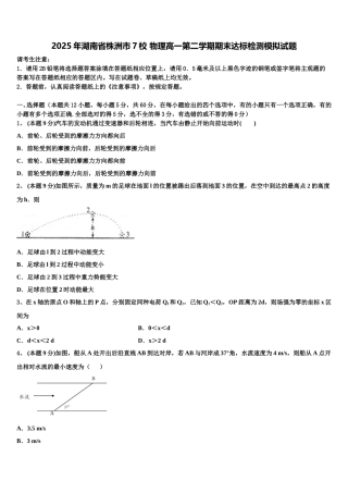 2025年湖南省株洲市7校 物理高一第二学期期末达标检测模拟试题含解析