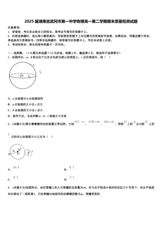 2025届湖南省武冈市第一中学物理高一第二学期期末质量检测试题含解析