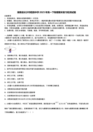 湖南省长沙市稻田中学2025年高一下物理期末复习检测试题含解析