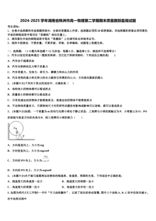 2024-2025学年湖南省株洲市高一物理第二学期期末质量跟踪监视试题含解析