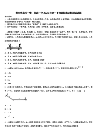 湖南省嘉禾一中、临武一中2025年高一下物理期末达标测试试题含解析