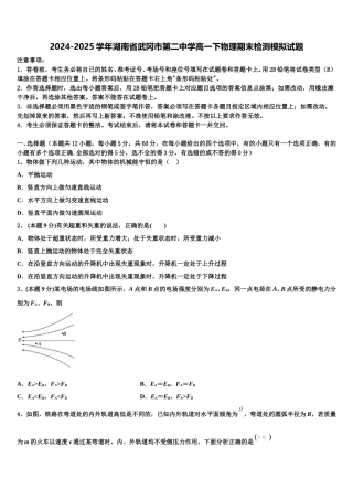 2024-2025学年湖南省武冈市第二中学高一下物理期末检测模拟试题含解析