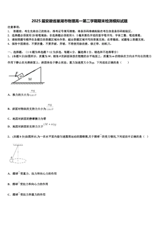 2025届安徽省巢湖市物理高一第二学期期末检测模拟试题含解析