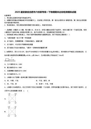 2025届安徽省合肥市六校联考高一下物理期末达标检测模拟试题含解析